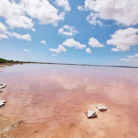 Charming House With Nature بيت للعطل